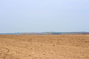Fototapeta na wymiar Landscape with plowed land and road in spring
