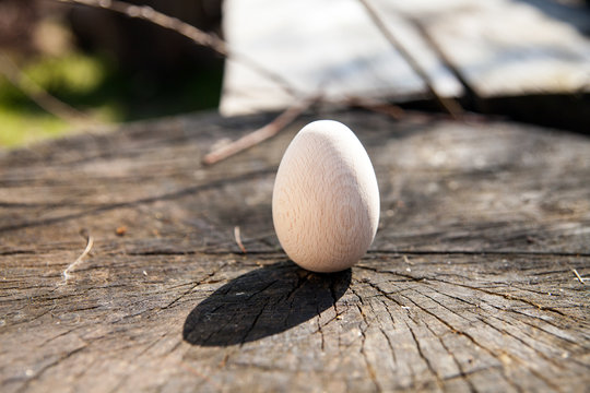 Egg on the wood. Easter egg for decorating.