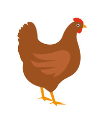 Chicken icon, flat style. Isolated on white background. Vector illustration, clip-art