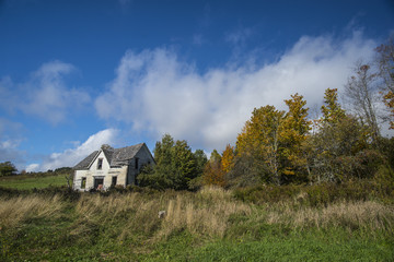 Abandoned Homestead with trees long grass and blue sky and clouds