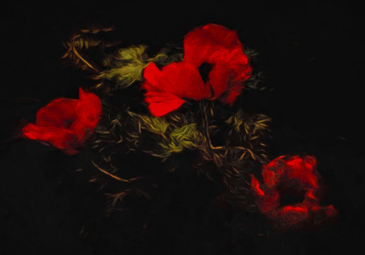 Abstract painting effect of red poppies with green leaves on black background