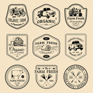 Vector retro set of farm fresh logotypes. Vintage labels with hand sketched agricultural equipment illustrations.