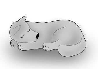 Cute sleeping Dog
