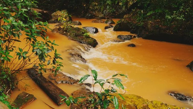 A small river from the Datanla falls in the jungle. Yellow water.