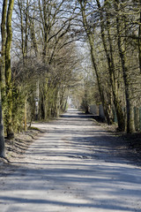 Leśna droga w słoneczny dzień © RegnumInvictum