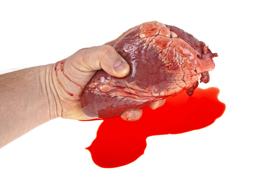 Bloody hand holds the heart, image on a white background