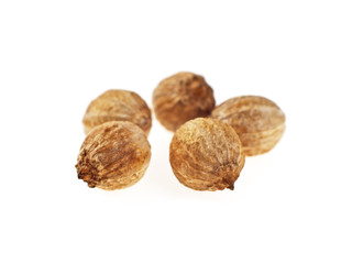 Coriander seeds isolated on white background, selective focus