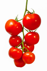 Fresh organic tomatoes