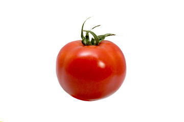 Fresh organic tomatoes