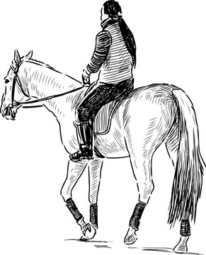 A girl a horseback