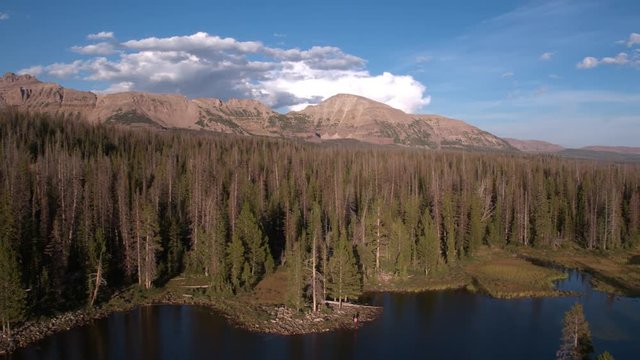 Rotating view above lake and forest