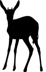 Silhouette of a standing springbok antelope, hand drawn vector illustration isolated on white background