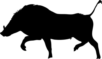 Silhouette of a funny moving standing warthog, hand drawn vector illustration isolated on white background