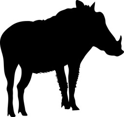 Silhouette of a funny moving standing warthog, hand drawn vector illustration isolated on white background