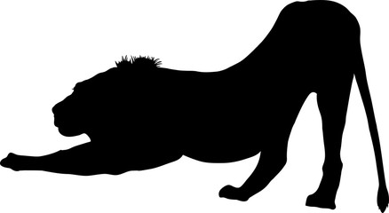 Silhouette of a lion predator, hand drawn vector illustration isolated on white background