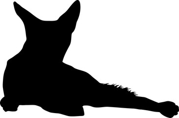 Silhouette of lying black backed jackal, hand drawn vector illustration isolated on white background