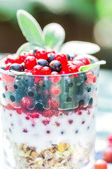 Healthy diet muesli colorful fresh fruit