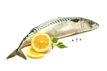 atlantic mackerel fish with lemon isolated on white background