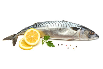 atlantic mackerel fish with lemon isolated on white background