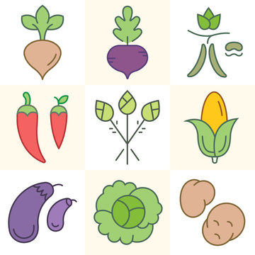 Vegetables and Greens, Set of Vector Illustrations