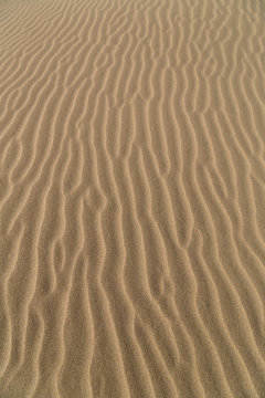 Sand patterns of the sand dune