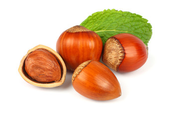 hazelnut with green leaf isolated on white background