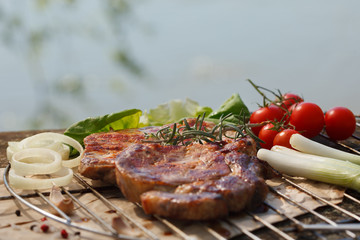 Picnic meal with barbeque and vegetables