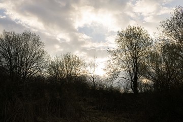 Sunset on meadow with hills and tree. Slovakia