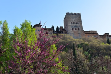 Alhambra Granada 