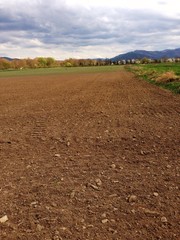 ploughed land