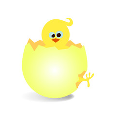 vector illustration of funny newborn chicken in cracked egg
