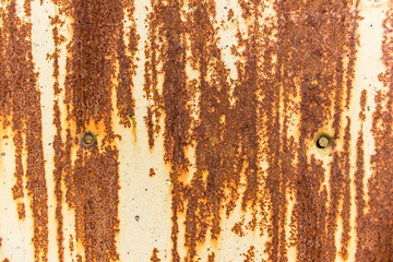 Rusty sheet of steel with two nails.