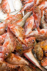 Sea fish on market stalls