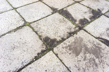 Obraz premium Old paving slab in the park