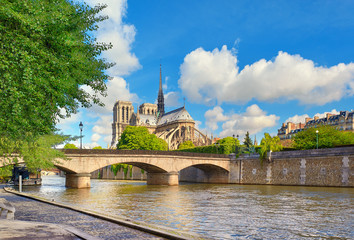 Fototapeta na wymiar Notre Dame Cathedral in Paris in springtime