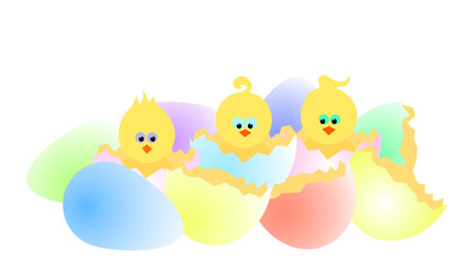 vector illustration of cracked eggs and newborn chickens