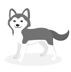 Husky breed dog icon, flat, cartoon style. Cute puppy isolated on white background. Vector illustration, clip-art