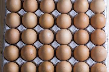 Top of view on egg rows, food background.