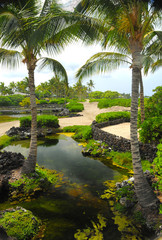 Anchialine Ponds Big Island Hawaii  Kuki`o beach Hualalai Resort , tropical feeling, coastal...