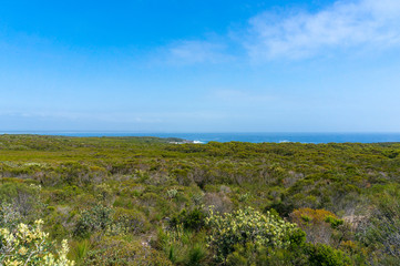 Panorama landscape of green bushland and ocean on the horizon