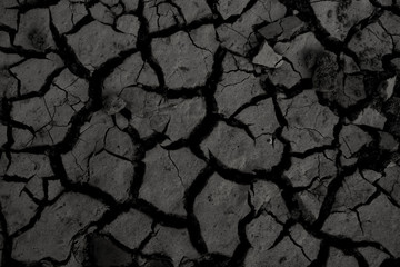Cracked Mud Texture