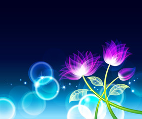 Flower Background_Night and Flowers