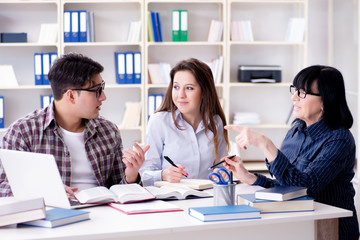 Young student and teacher during tutoring lesson
