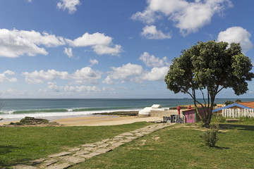 Mill beach