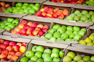 Fototapeta na wymiar apples on market. Fresh Apple. apples background