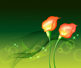 Flower Background_soft calla