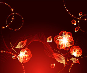 Flower Background_A passionate flower