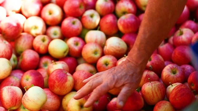 cagette de pommes slow motion