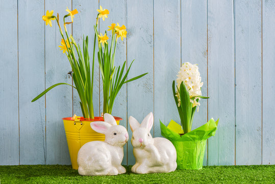 Potted daffodils and hyacinth with two ceramic rabbits on a grass surface with an aqua wood panel background for Easter or Spring
