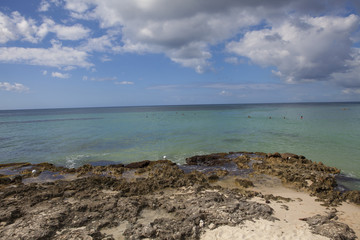 Fototapeta na wymiar Caribbean reef